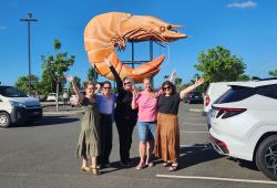 Ballina4